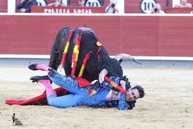 Corrida toros 10-09-25 (17) - Alejandro Quesada.