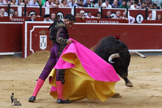 Corrida toros 08-09-25 (26-26) - Fortes.