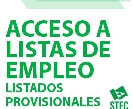 Acceso a listas de empleo abiertas - Listado definitivo de personas admitidas y excluidas - STEC-IC