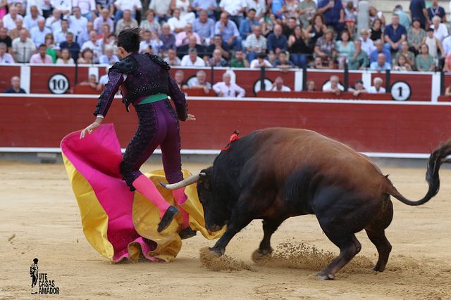 Corrida toros 08-09-25 (21-21) - Fortes.
