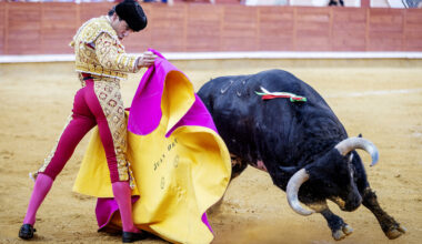 Un sabroso menú n el ecuador ferial