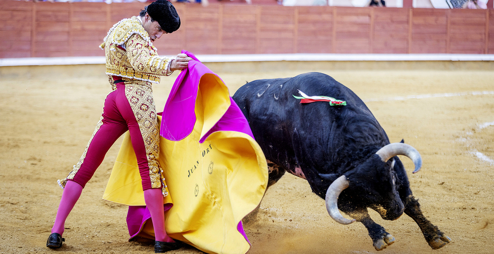 Un sabroso menú n el ecuador ferial