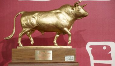 Veinticuatro toros, todos de ganaderías salmantinas, optarán a alzarse con el XLIX Toro de Oro