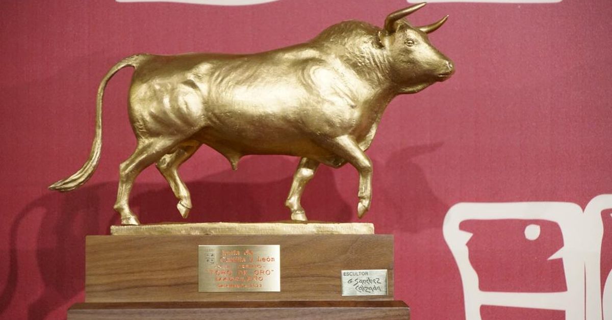 Veinticuatro toros, todos de ganaderías salmantinas, optarán a alzarse con el XLIX Toro de Oro