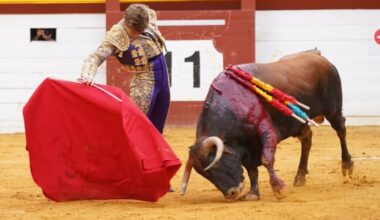 Álvaro Serrano roza la puerta grande con la de Cebada Gago en Algemesí
