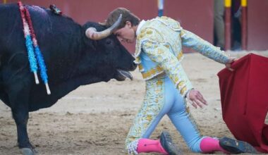 Julio Norte, gran triunfador de la última novillada con picadores de la Feria de La Vid de Oro 2025 al cortar 3 orejas