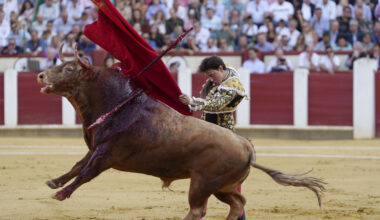 Los toros amorfos de Garcigrande