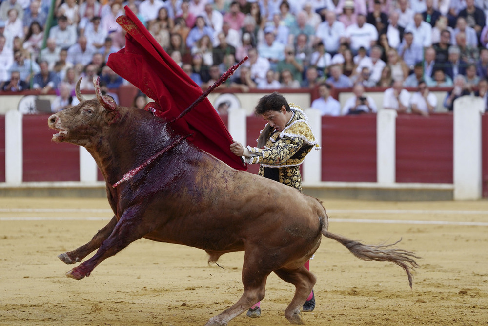 Los toros amorfos de Garcigrande