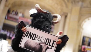 Corte Constitucional deja en firme ley que prohíbe las corridas de toros en Colombia