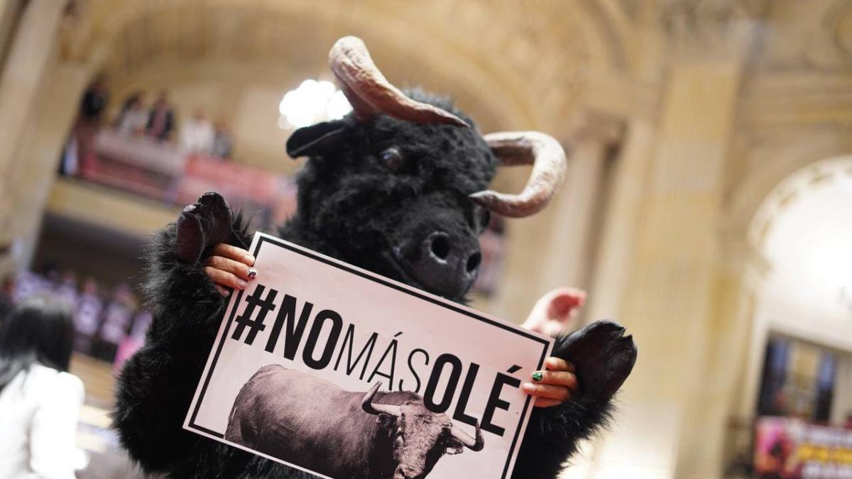 Corte Constitucional deja en firme ley que prohíbe las corridas de toros en Colombia