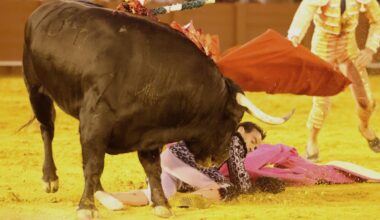 Providencial quite de David de Miranda a Cándido Ruiz en Sevilla