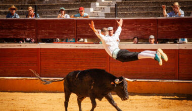 Espectáculo matinal de la feria taurina