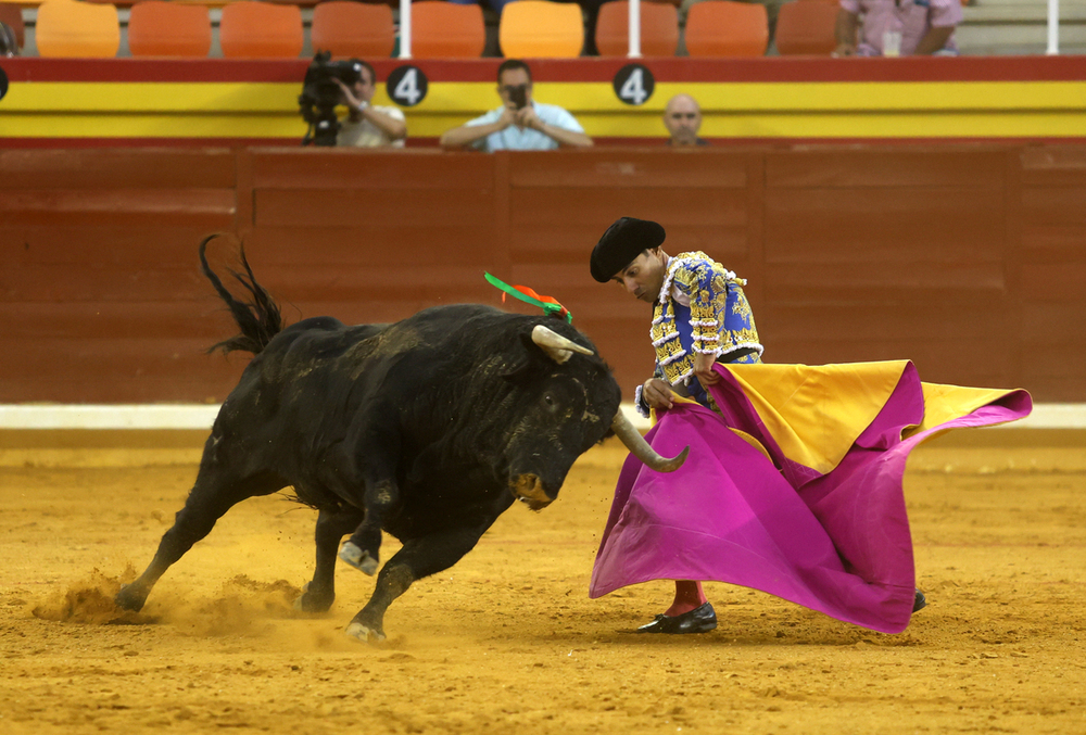 Noé mostró una gran dimensión.