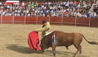 Alejandro Marcos sustituye a Román en la corrida de Pesaguero