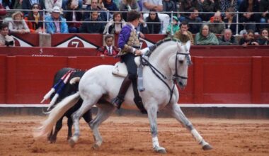 Los Forcados Amadores de Coruche en Salamanca “en el aire”, a nueve días de su actuación, por una cuestión de Reglamento