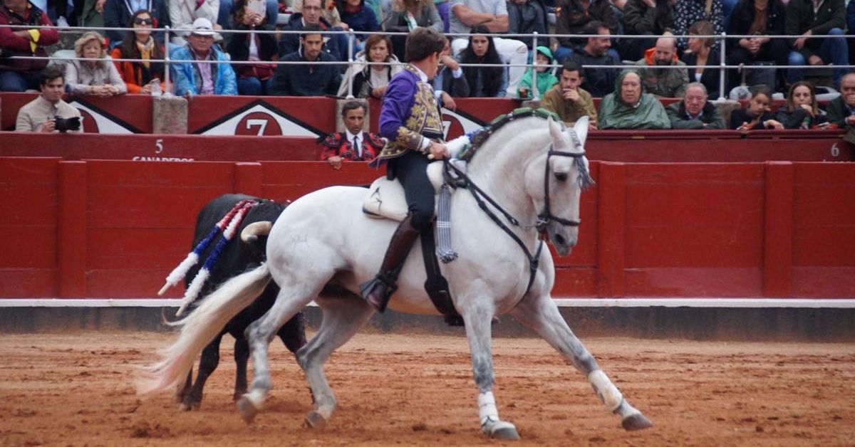 Los Forcados Amadores de Coruche en Salamanca “en el aire”, a nueve días de su actuación, por una cuestión de Reglamento