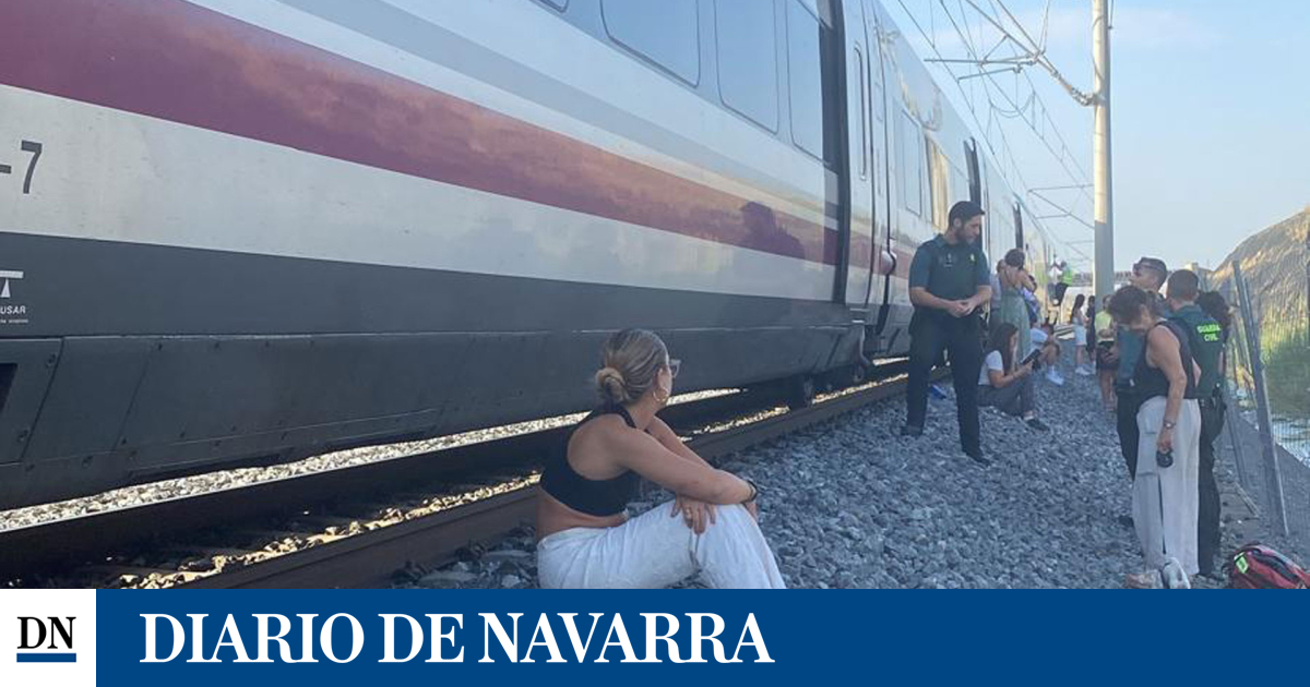 Recuperada la circulación de trenes entre Madrid y Pamplona, interrumpida por un incendio