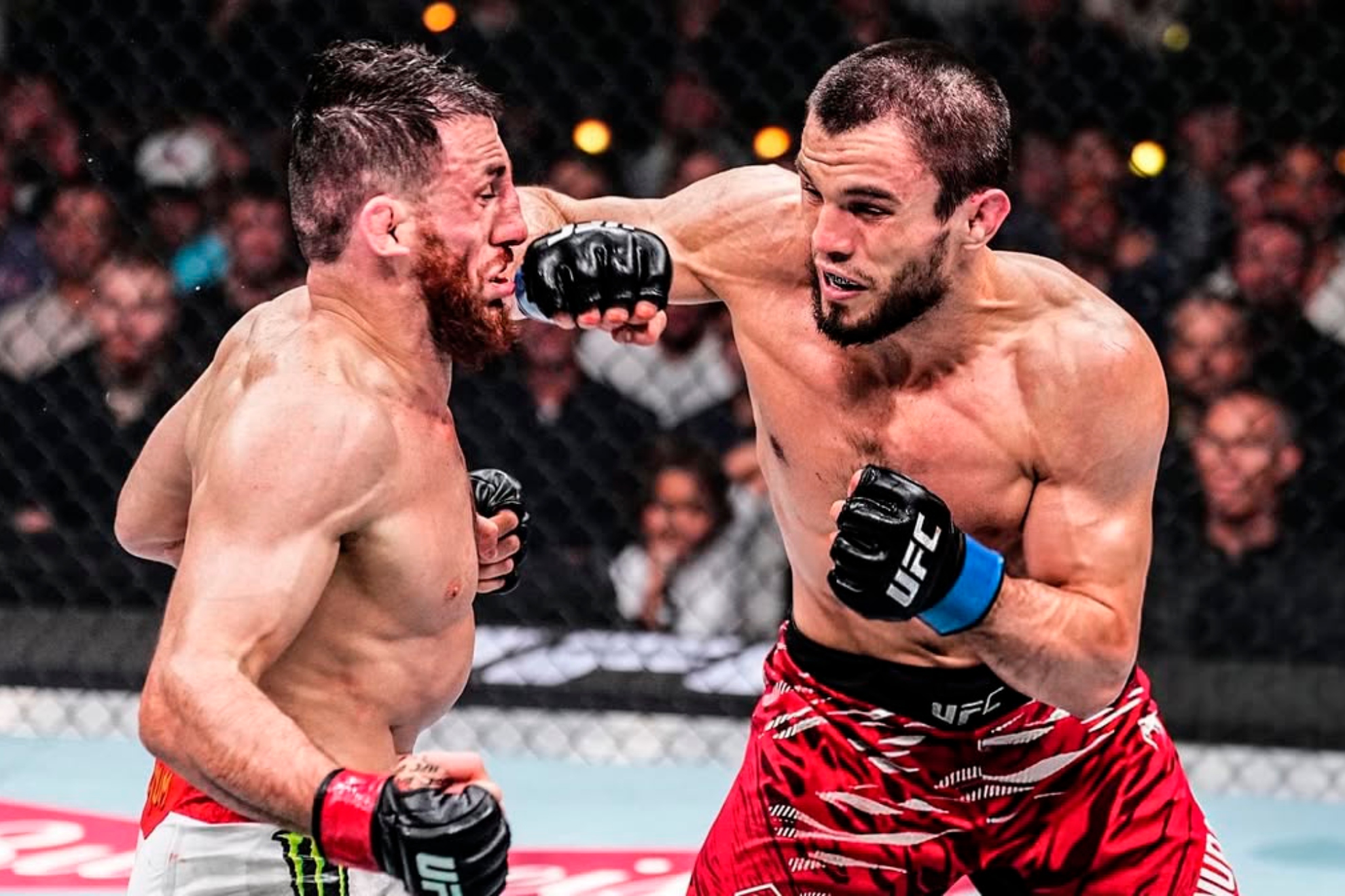 Umar Nurmagomedov durante su último combate ante Merab Dvalishvili.