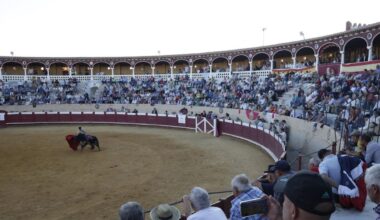 Una corrida de toros en la plaza de Valencia de Don Juan.