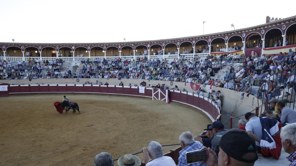 Una corrida de toros en la plaza de Valencia de Don Juan.