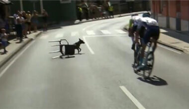 Un perro atado a una silla está a punto de provocar una caída a gran velocidad en La Vuelta a España
