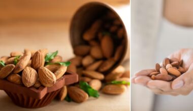 ¿Cuántas almendras hay que consumir al día para tener un intestino saludable y mantener una buena salud cardiovascular?