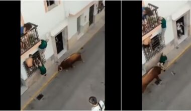 Impactante video muestra el momento en que un toro embiste mortalmente a un hombre en celebración en España