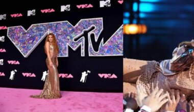 Shakira se convirtió en la artista más premiada de los MTV Video Music Awards