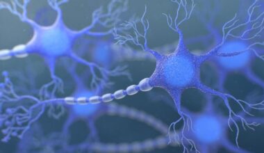 Mejora el diagnóstico precoz de la esclerosis múltiple, un avance clave para frenar la enfermedad