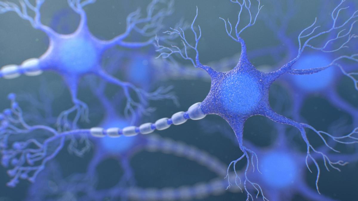 Mejora el diagnóstico precoz de la esclerosis múltiple, un avance clave para frenar la enfermedad