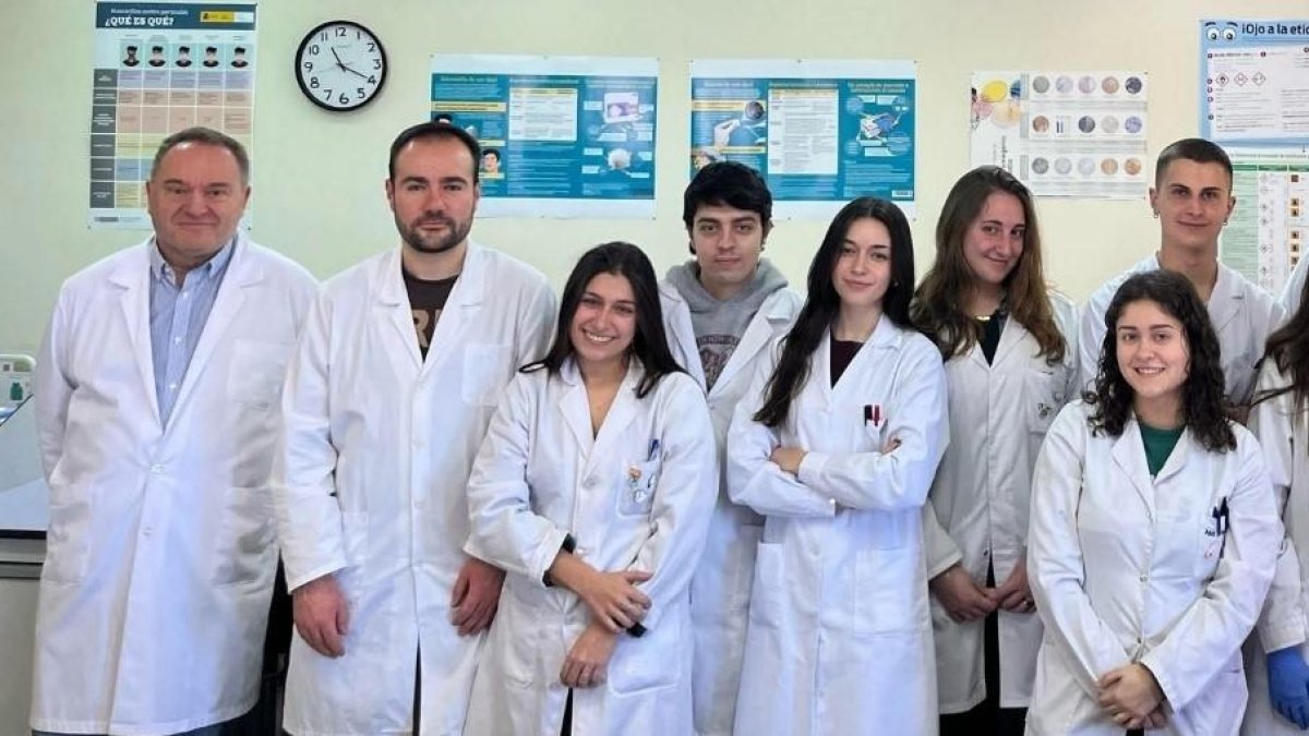 La gripe porcina altera la microbiota pulmonar