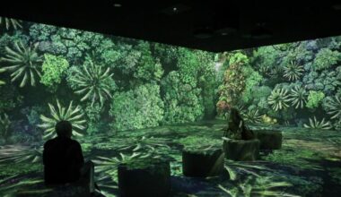 La experiencia inmersiva, un antídoto contra la ecoansiedad