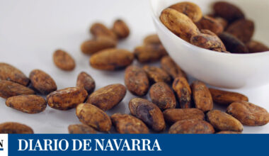 Un estudio descubre que el suplemento de extracto de cacao puede reducir la inflamación y el envejecimiento