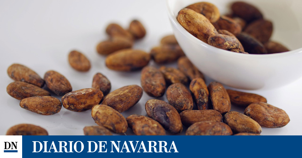 Un estudio descubre que el suplemento de extracto de cacao puede reducir la inflamación y el envejecimiento