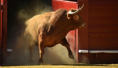 La ILP para que la tauromaquia no sea patrimonio cultural llegará el martes a la antesala del Pleno del Congreso