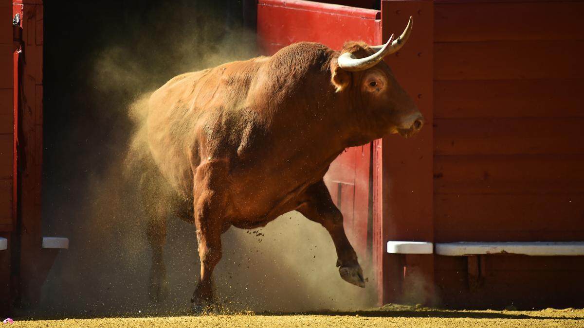 La ILP para que la tauromaquia no sea patrimonio cultural llegará el martes a la antesala del Pleno del Congreso