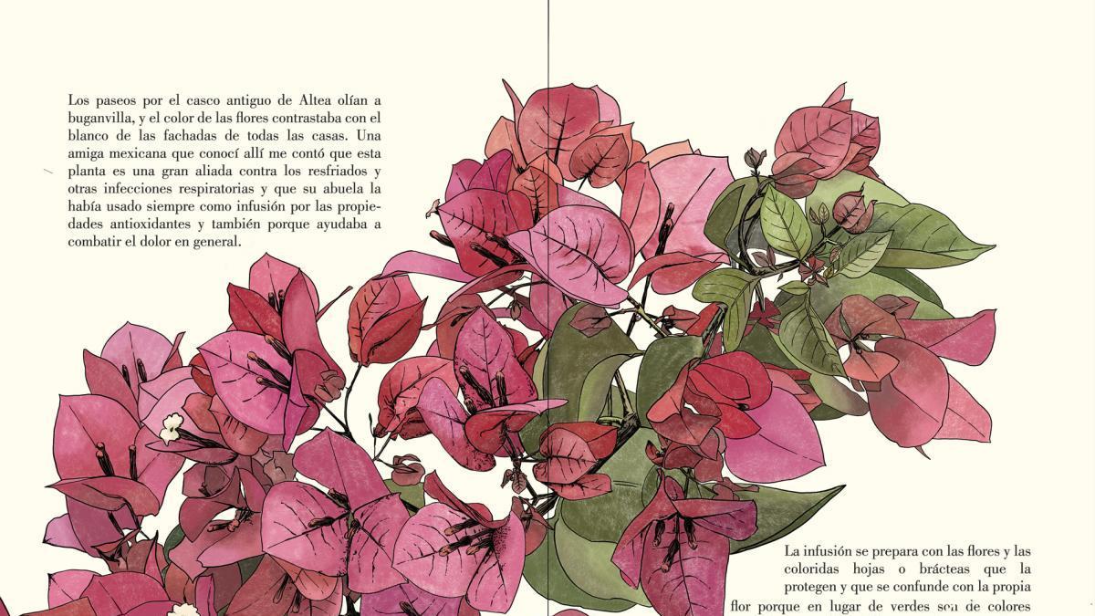 El Jardín Botánico presentará el jueves un libro sobre una infancia rodeada por el lenguaje de las flores