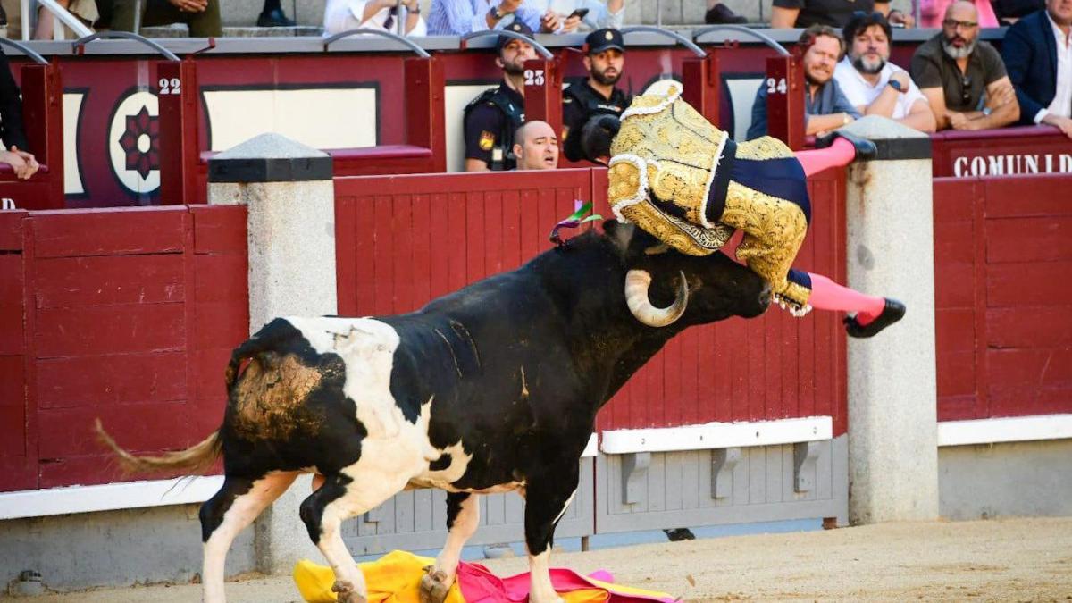 El torero Serafín Marín, cogido por un toro en Las Ventas