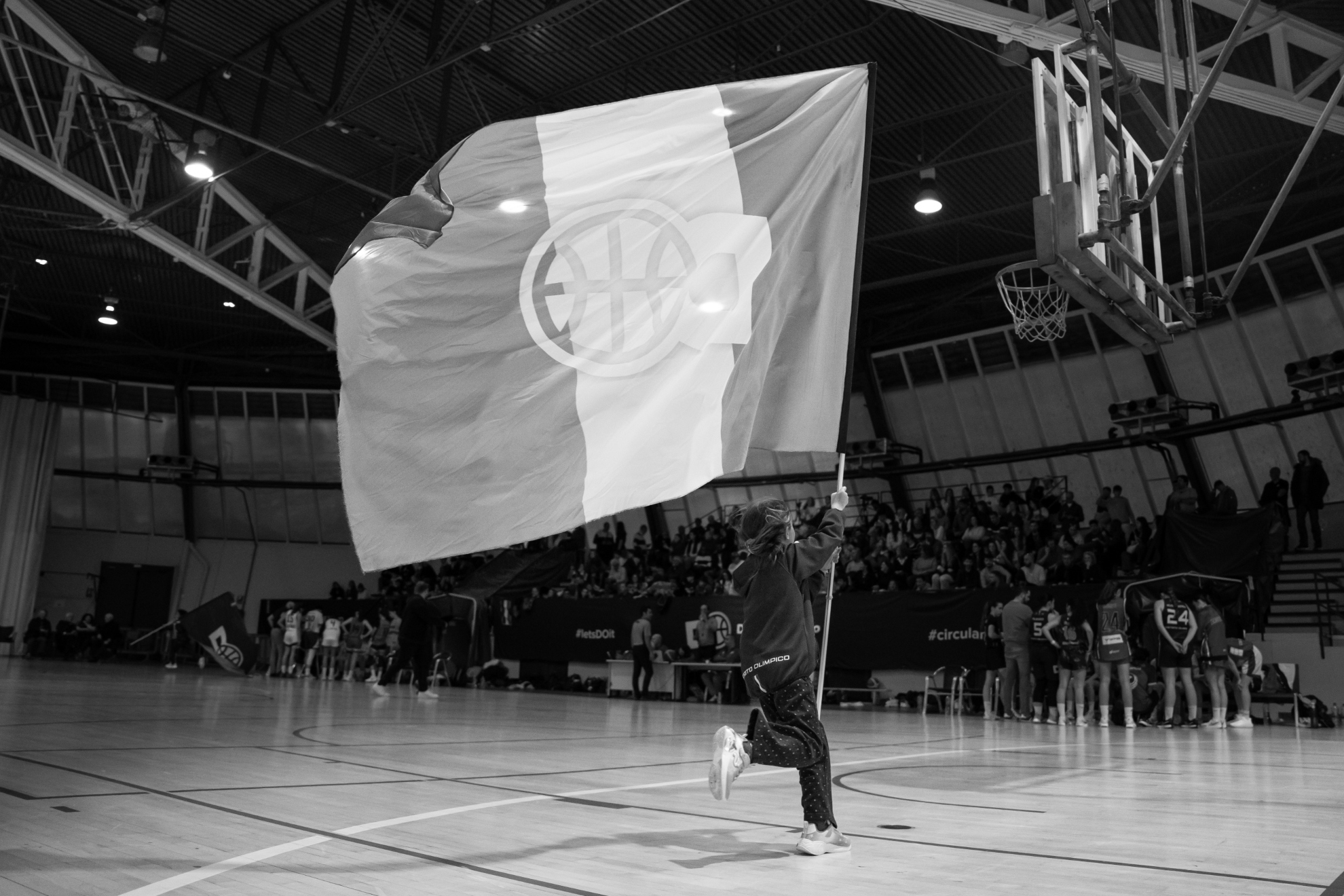 La bandera de Distrito Olímpico.
