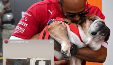 Hamilton pide a sus fans que recen por Roscoe