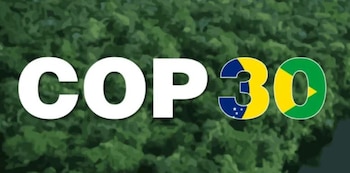 La Amazonia, en riesgo por