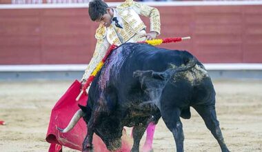 Caballero gana el premio 'Pedrés' al mejor toreo de capote