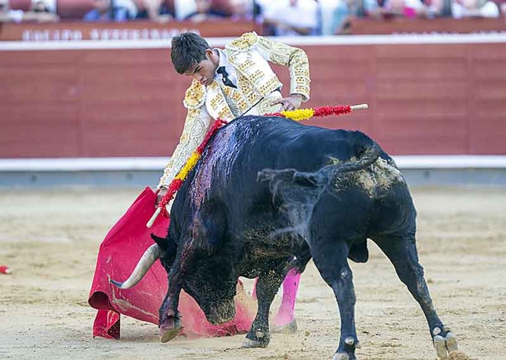 Caballero gana el premio 'Pedrés' al mejor toreo de capote