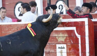 Los novillos complican la vida a los de plata