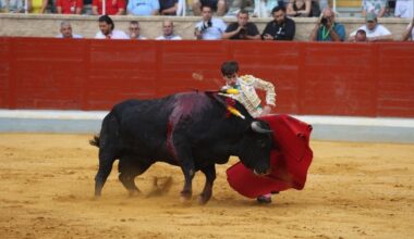 Cuadri y el relato de las oportunidades