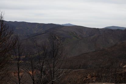 Estado actual de Las Médulas después del incendio forestal del pasado 20 de agosto. 