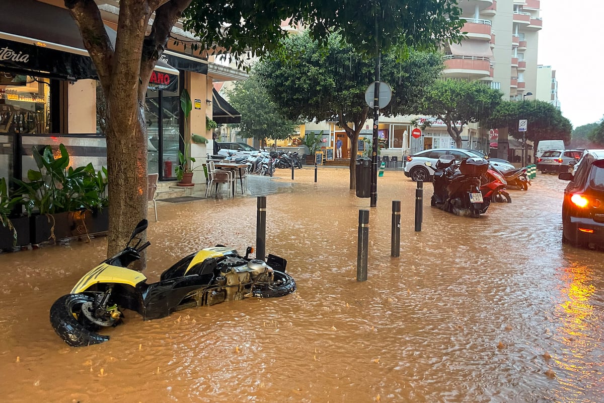 EL PAÍS
