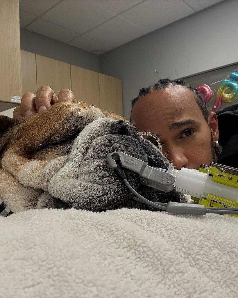 Lewis Hamilton reveló las complicaciones de salud que sufrió su perrito Roscoe.