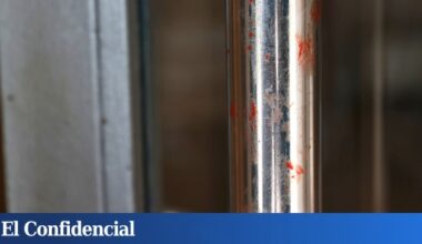 La mujer asesinada por su expareja en Sevilla "tenía expediente abierto" en el sistema VioGén