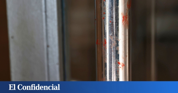 La mujer asesinada por su expareja en Sevilla "tenía expediente abierto" en el sistema VioGén